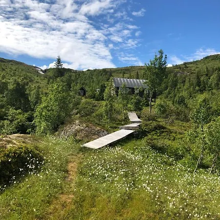 Nyestølen/bavallen